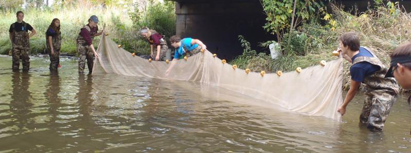A group of students netting in a river