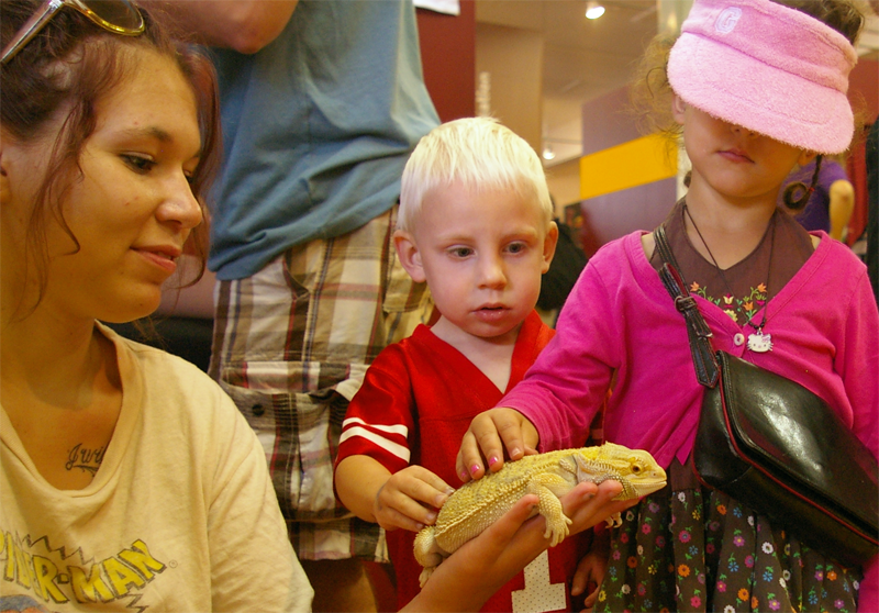 A student holding a lizard for two children to touch
